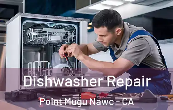  Dishwasher Repair Point Mugu Nawc - CA