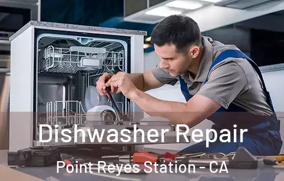  Dishwasher Repair Point Reyes Station - CA
