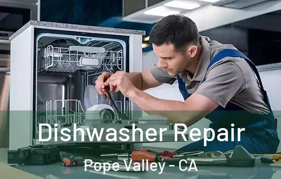  Dishwasher Repair Pope Valley - CA