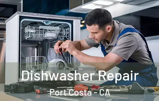  Dishwasher Repair Port Costa - CA