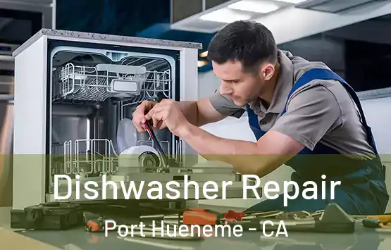  Dishwasher Repair Port Hueneme - CA
