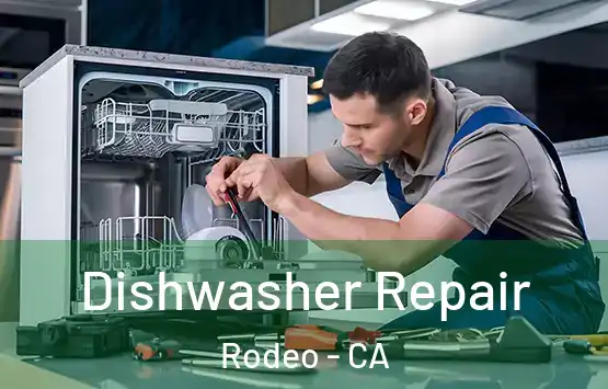  Dishwasher Repair Rodeo - CA