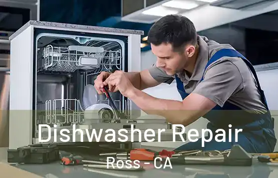  Dishwasher Repair Ross - CA