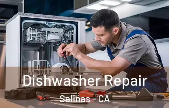  Dishwasher Repair Salinas - CA