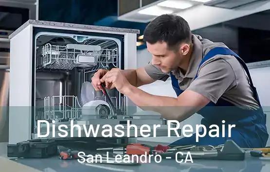  Dishwasher Repair San Leandro - CA