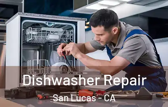  Dishwasher Repair San Lucas - CA