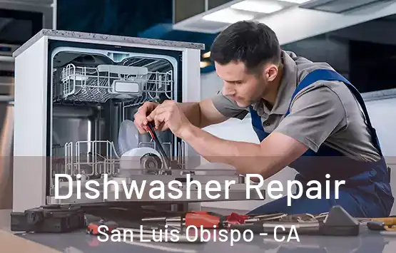  Dishwasher Repair San Luis Obispo - CA