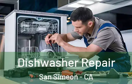  Dishwasher Repair San Simeon - CA