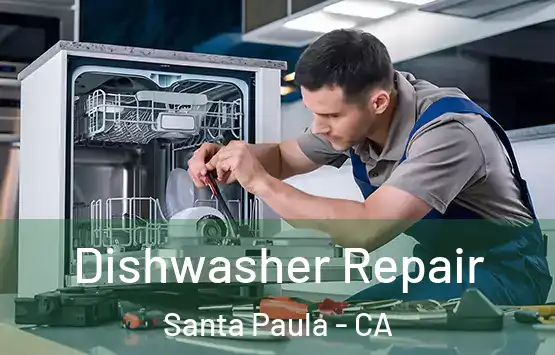  Dishwasher Repair Santa Paula - CA