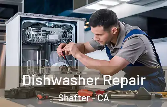  Dishwasher Repair Shafter - CA