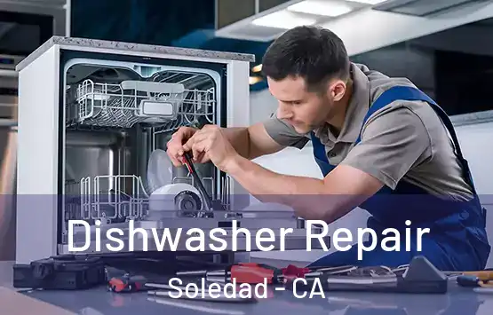  Dishwasher Repair Soledad - CA