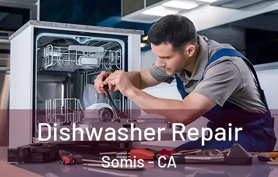  Dishwasher Repair Somis - CA