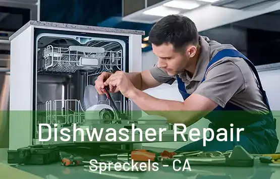  Dishwasher Repair Spreckels - CA