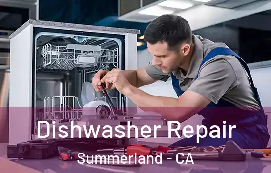  Dishwasher Repair Summerland - CA