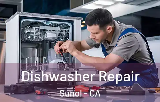 Dishwasher Repair Sunol - CA