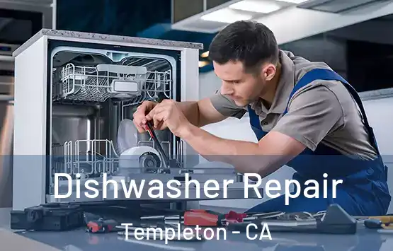  Dishwasher Repair Templeton - CA