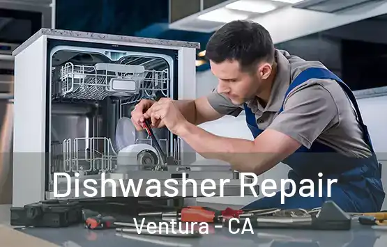  Dishwasher Repair Ventura - CA