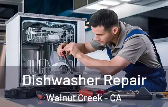  Dishwasher Repair Walnut Creek - CA