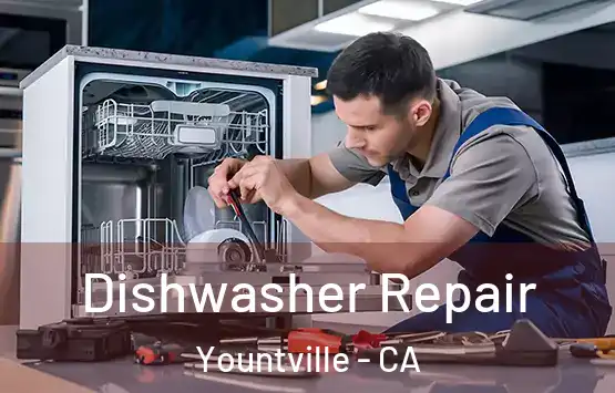  Dishwasher Repair Yountville - CA