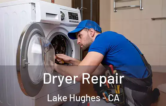  Dryer Repair Lake Hughes - CA