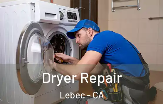  Dryer Repair Lebec - CA