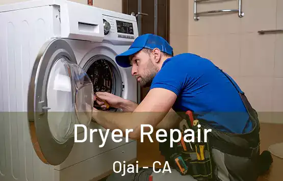  Dryer Repair Ojai - CA