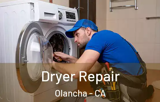  Dryer Repair Olancha - CA