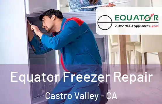  Equator Freezer Repair Castro Valley - CA