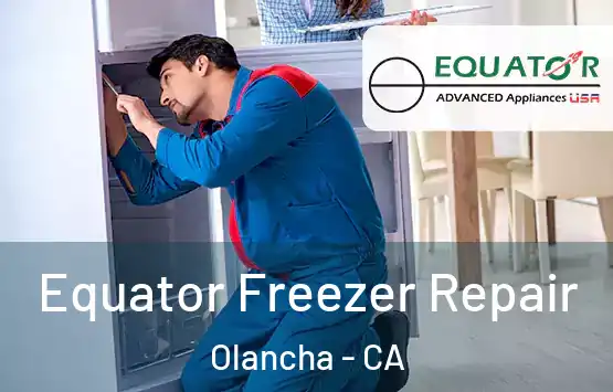  Equator Freezer Repair Olancha - CA