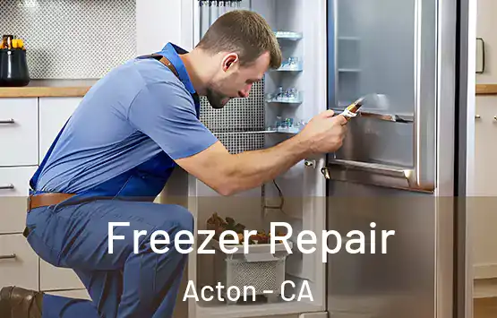  Freezer Repair Acton - CA
