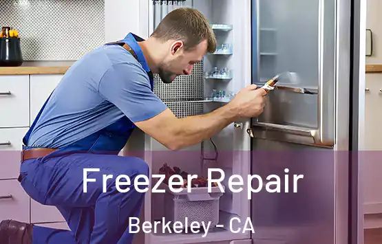  Freezer Repair Berkeley - CA