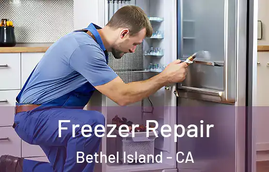  Freezer Repair Bethel Island - CA