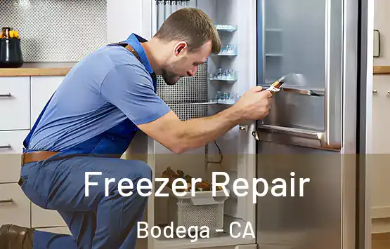  Freezer Repair Bodega - CA