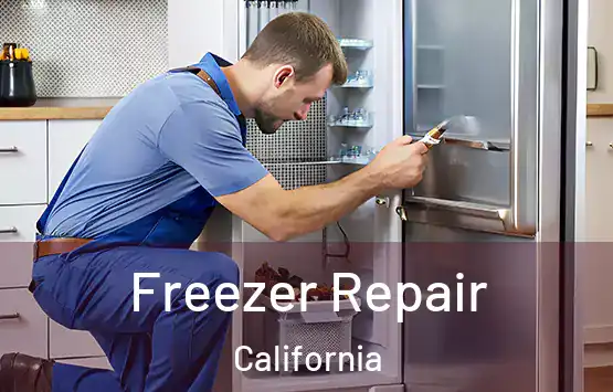  Freezer Repair California