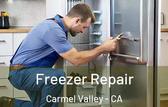  Freezer Repair Carmel Valley - CA