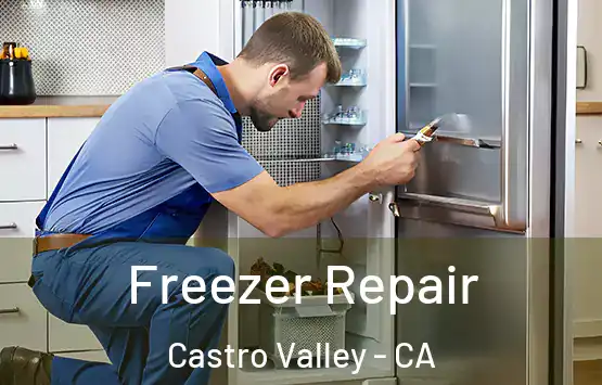  Freezer Repair Castro Valley - CA