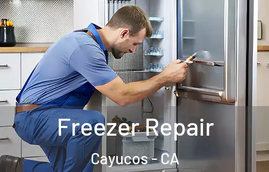  Freezer Repair Cayucos - CA