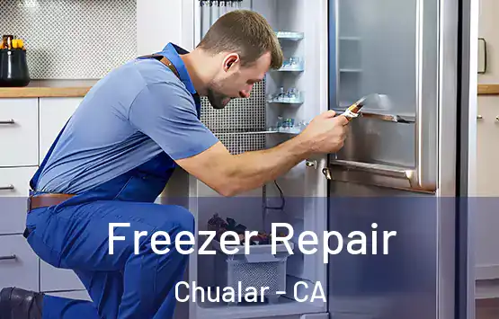  Freezer Repair Chualar - CA
