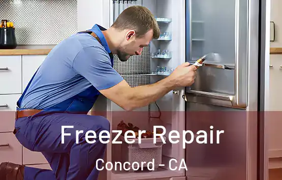  Freezer Repair Concord - CA