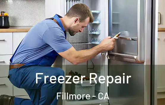  Freezer Repair Fillmore - CA