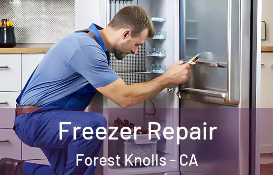  Freezer Repair Forest Knolls - CA
