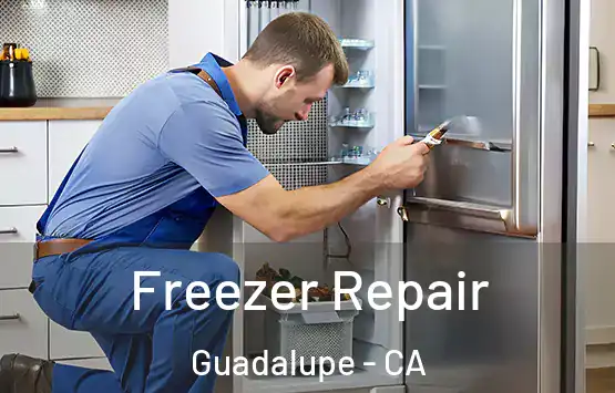  Freezer Repair Guadalupe - CA