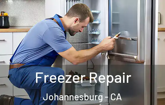  Freezer Repair Johannesburg - CA