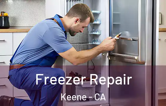  Freezer Repair Keene - CA