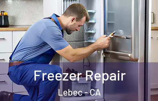  Freezer Repair Lebec - CA