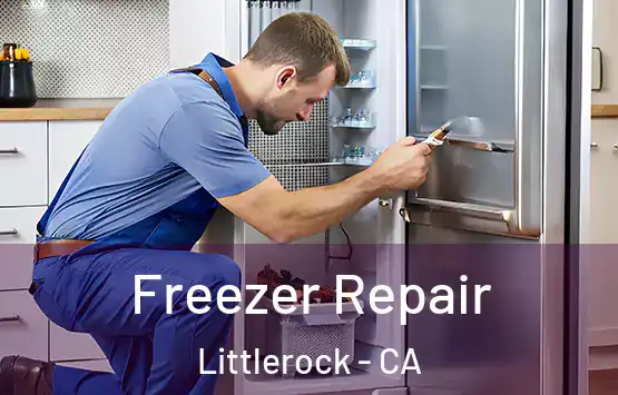  Freezer Repair Littlerock - CA