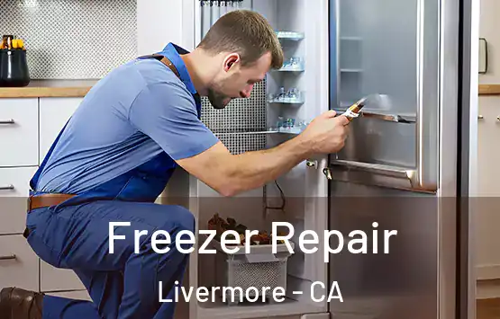  Freezer Repair Livermore - CA