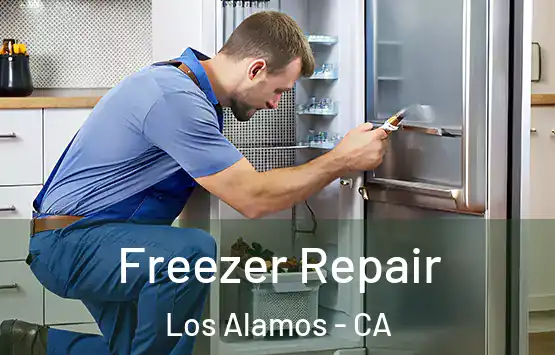  Freezer Repair Los Alamos - CA