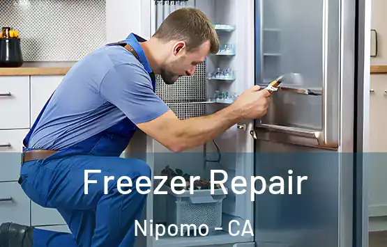  Freezer Repair Nipomo - CA