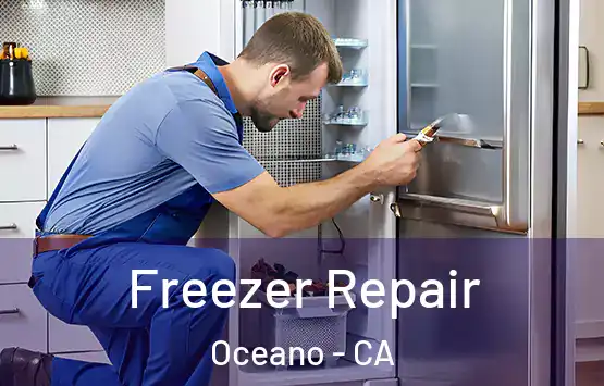  Freezer Repair Oceano - CA